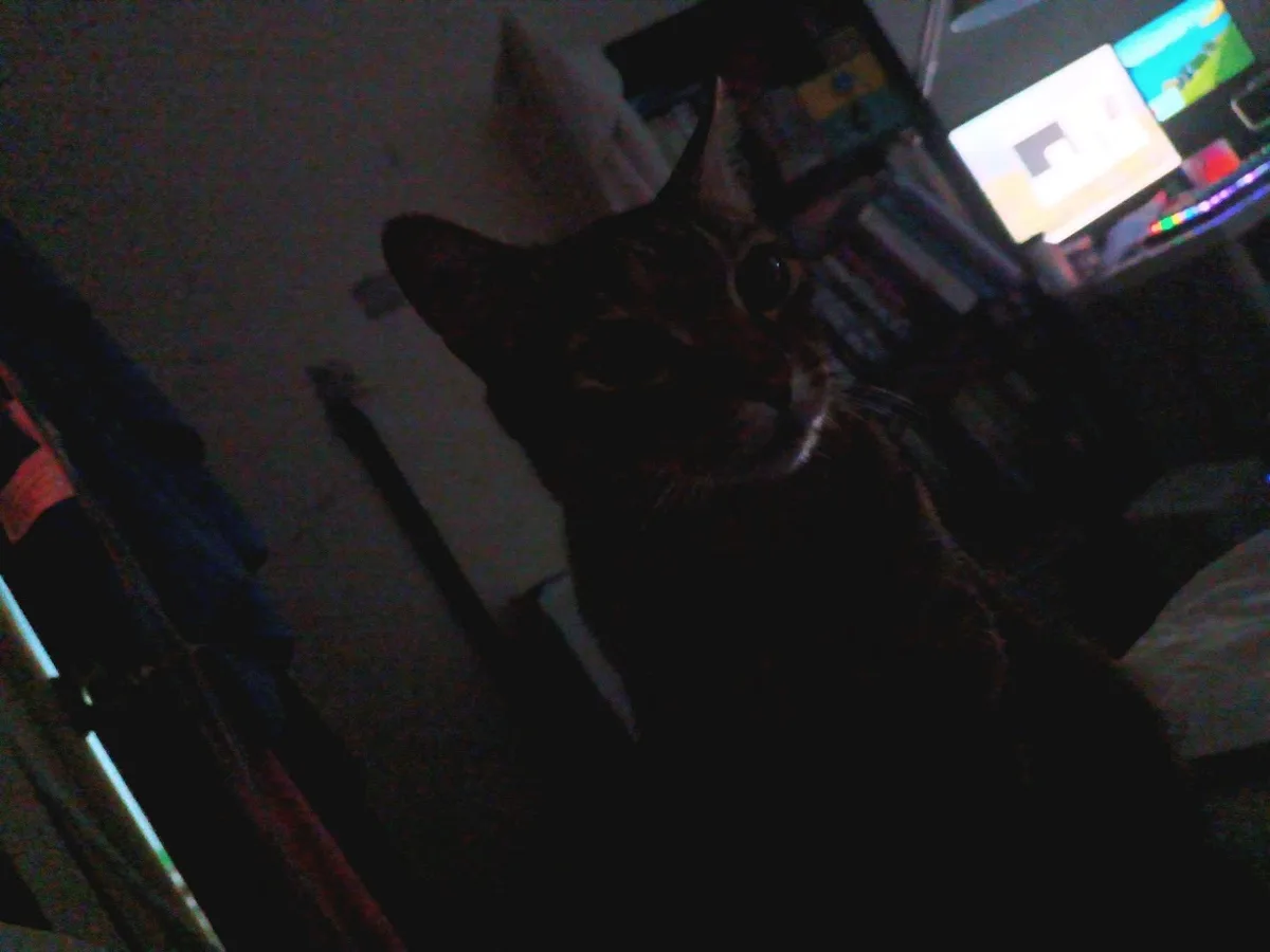 A dark, grainy photo shows a cat in a dimly lit room, its face partially illuminated, staring intently at the camera. In the…