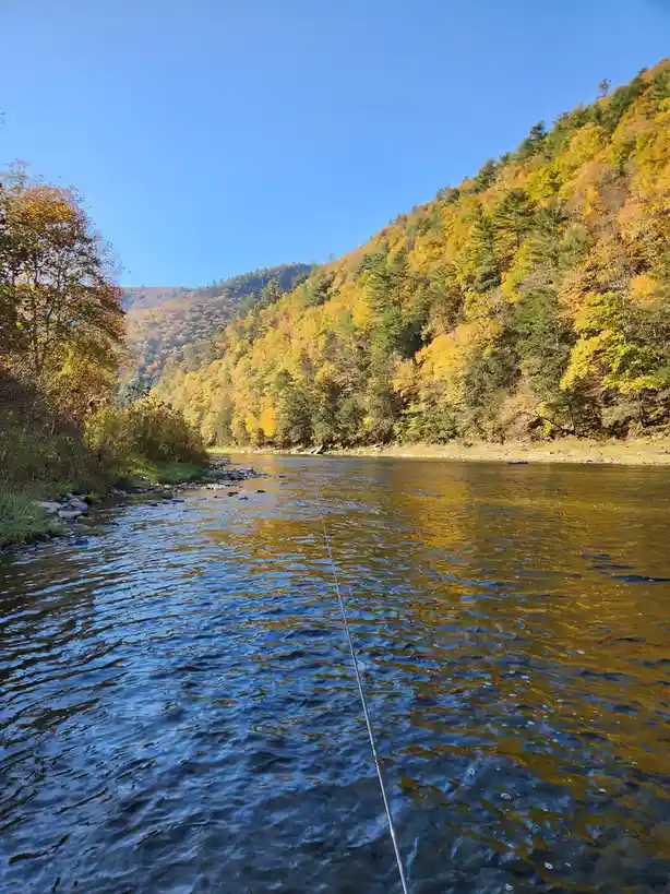 A first-person perspective photo shows a fishing rod extending into a river, with autumn-colored trees lining the banks…