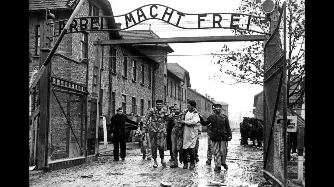 A black-and-white historical photograph shows emaciated prisoners in striped uniforms exiting the gates of a concentration…