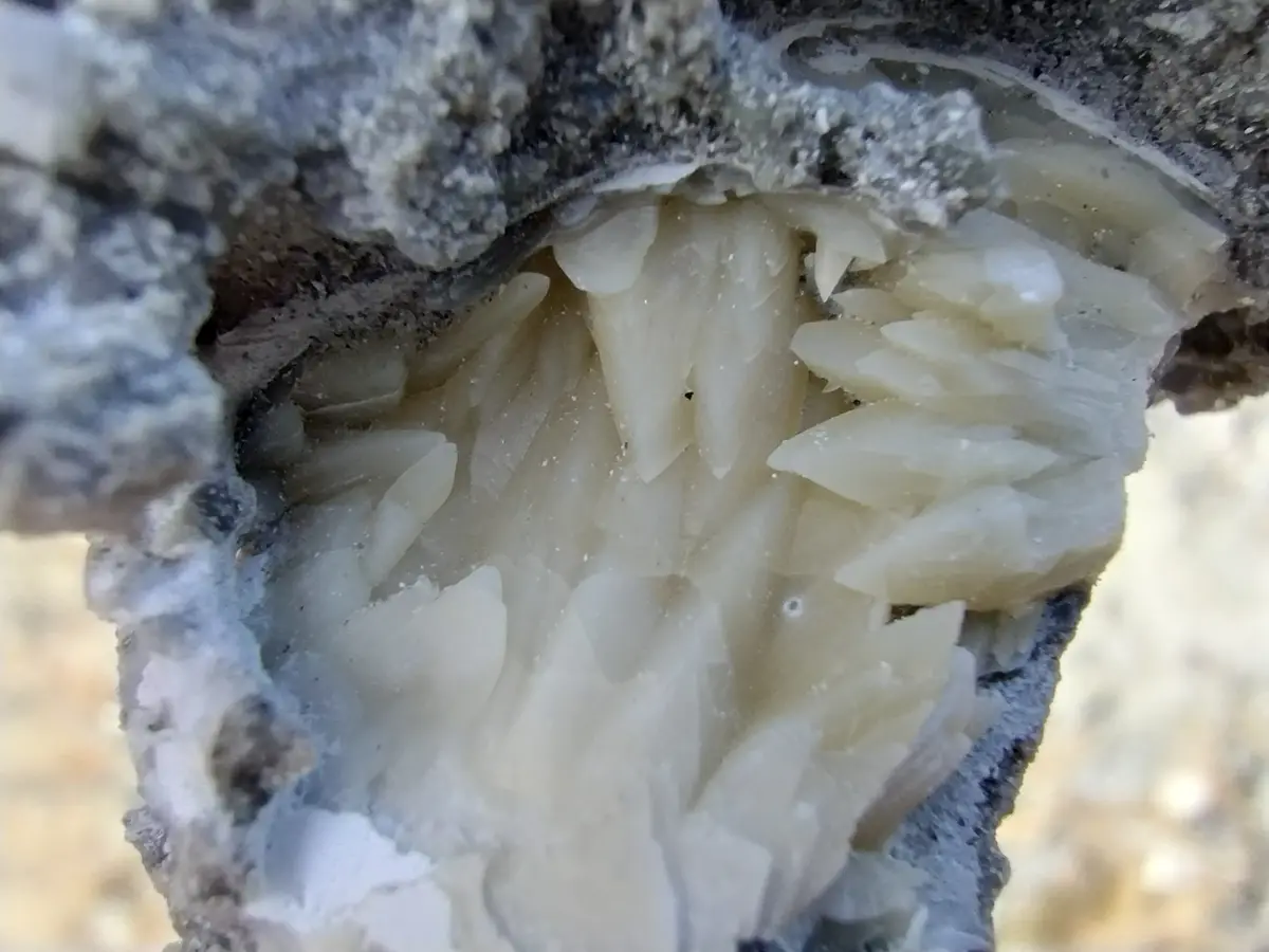A close-up photograph shows the interior of a geode with sharp, white, crystalline formations arranged in a pattern that…