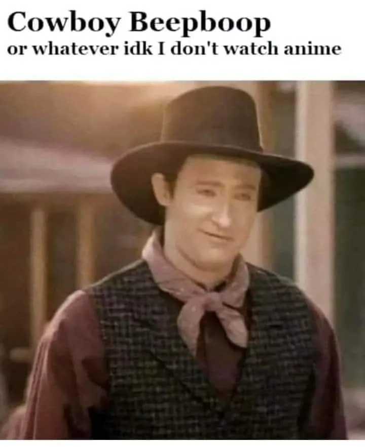 A man in a cowboy hat and vest with a pink bandana looks smugly at the camera. The text above him reads 'Cowboy Beepboop or…