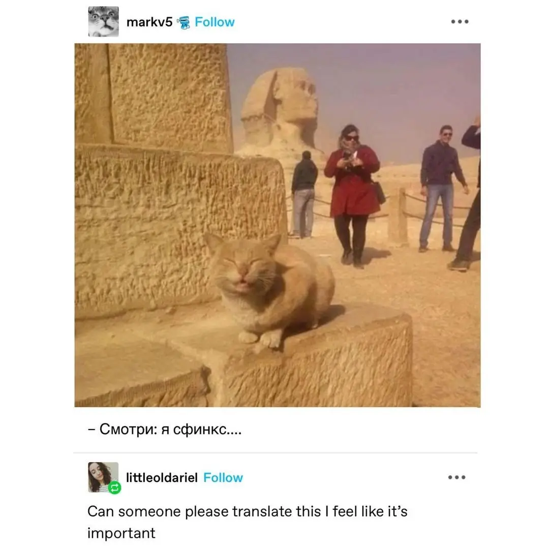 A light orange cat with its eyes closed and mouth slightly open sits on a stone block in front of the Great Sphinx in Egypt…