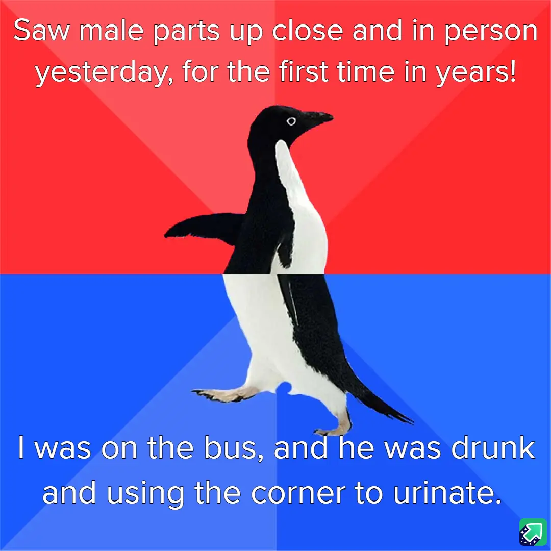 A penguin stands against a red and blue background, split horizontally. The top half has white text reading 'Saw male parts…