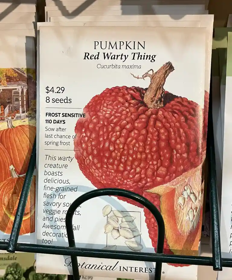 A seed packet for a pumpkin named 'Red Warty Thing' is displayed in a store rack. The packet features an illustration of a…
