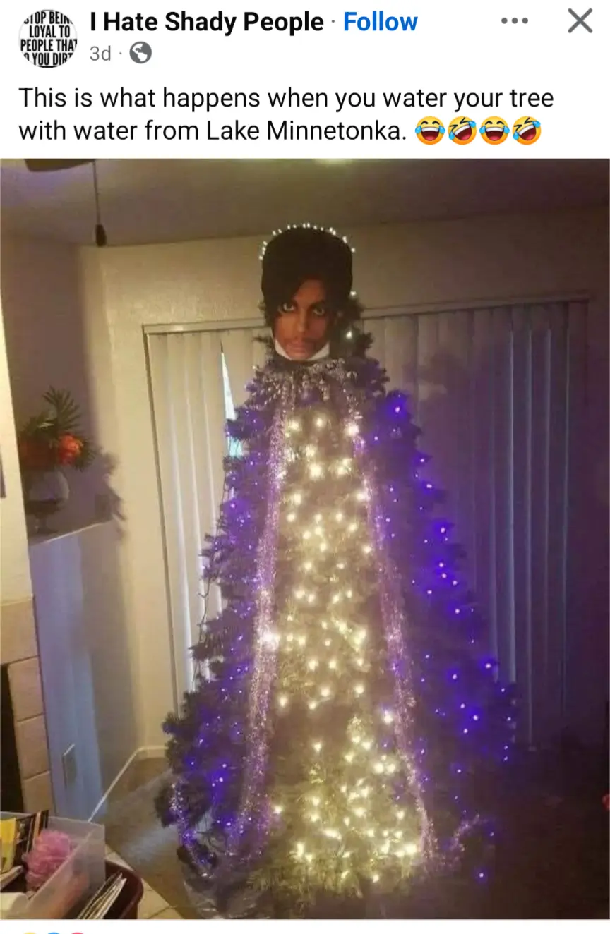 A person is standing indoors wearing a full-body costume made of a decorated Christmas tree, complete with purple and white…