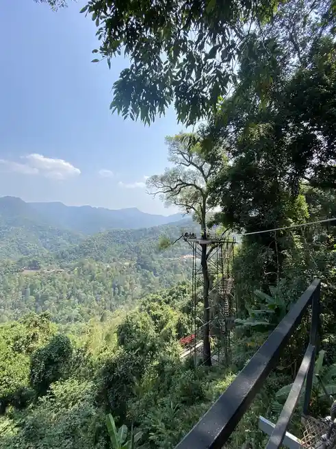 A scenic view of a lush green forest with mountains in the distance, featuring a tall metal observation platform built…