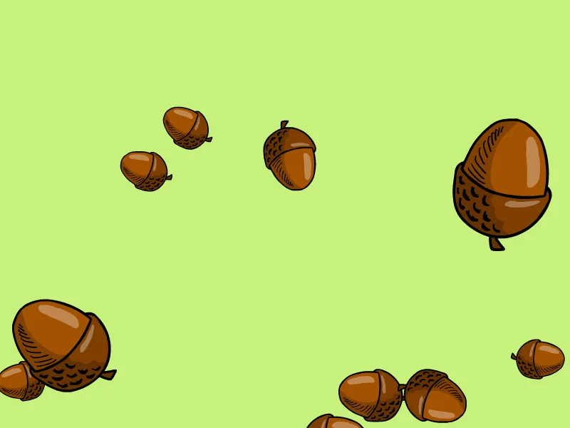 All hail Team Acorn!