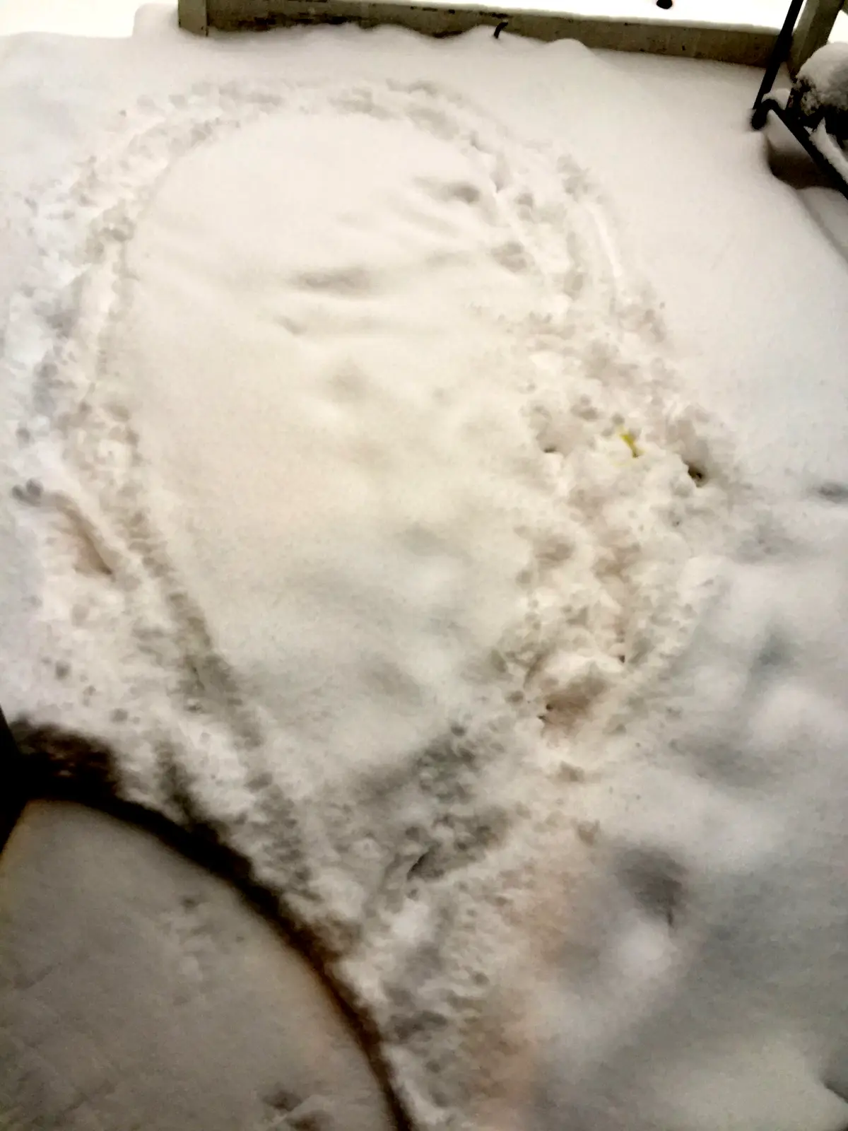 A close-up photo shows a snow-covered ground with a distinct snow angel shape, identifiable by two wing-like arm impressions…