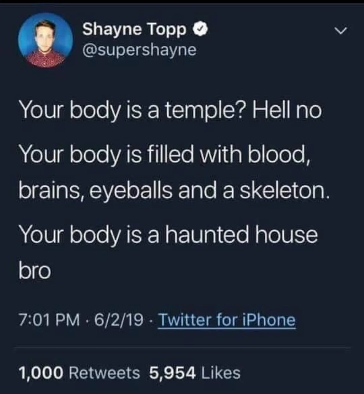 A screenshot of a Twitter post by Shayne Topp (@supershayne) from June 2, 2019, displaying his text that sarcastically…