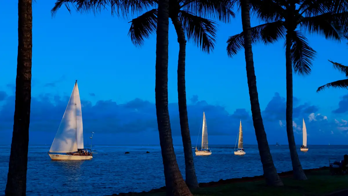 A serene scene unfolds as the day transitions to night, with sailboats of varying sizes dotting the horizon across Magic…