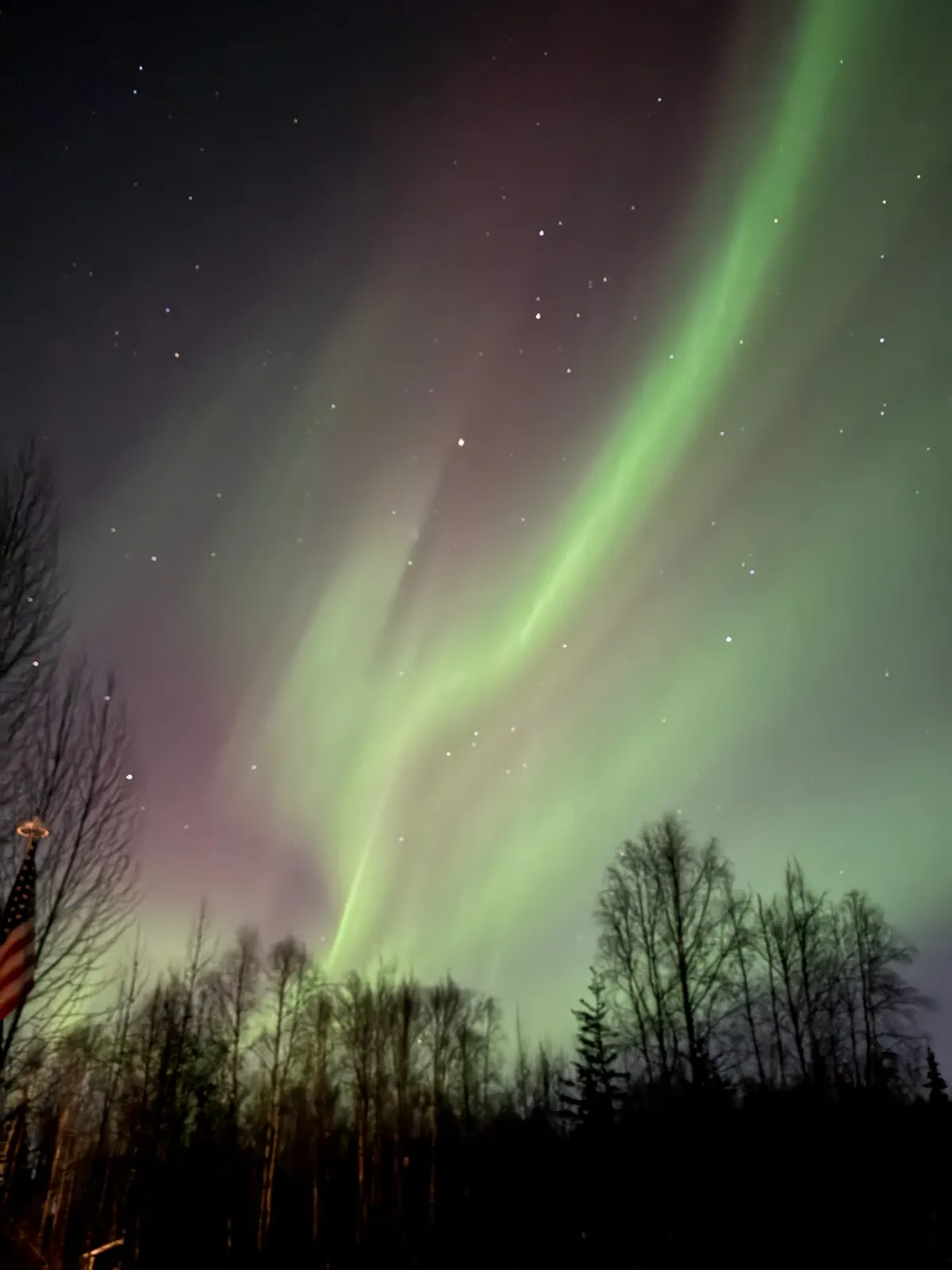 A night sky photograph shows vibrant green and purple auroras dancing above a dark treeline, with a visible American flag on…