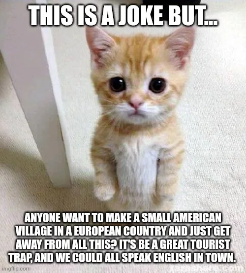 A small orange tabby kitten with large, expressive eyes is sitting upright on a light-colored carpet, looking directly at…