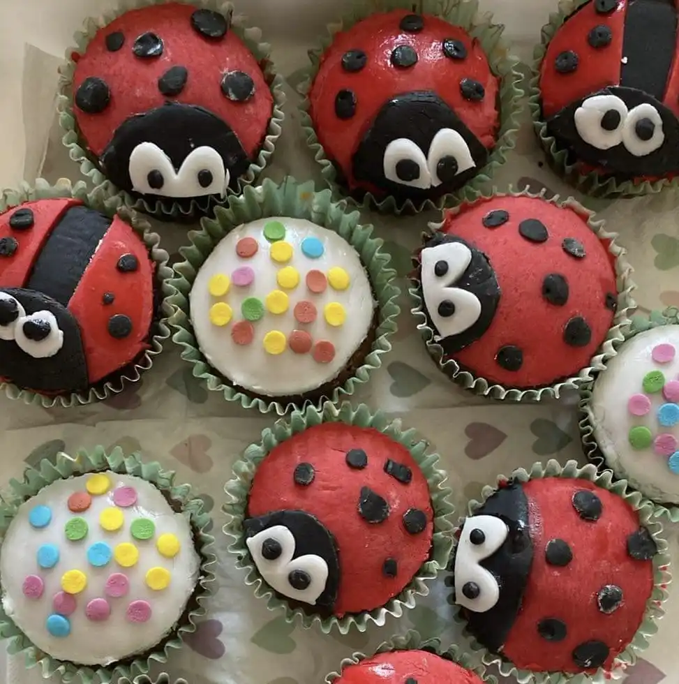 A tray of cupcakes decorated to look like ladybugs, with red frosting, black spots, and white eyes, but one cupcake in the…