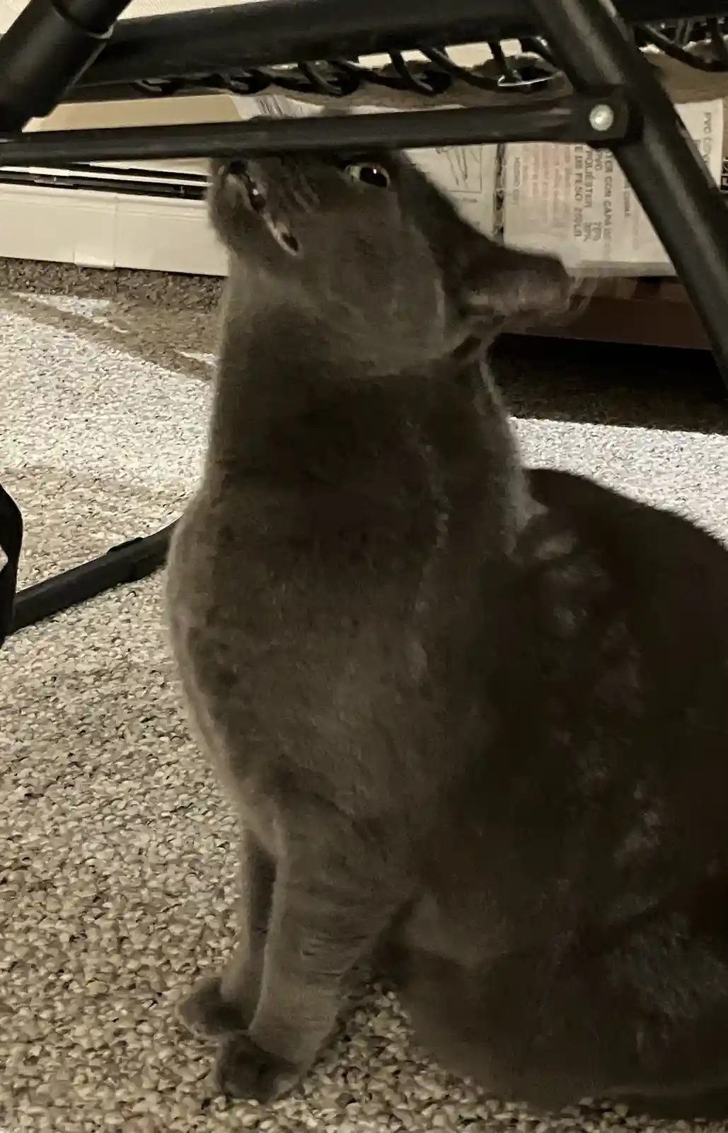 Daily Dose of Snickering: Snick Pic #35
