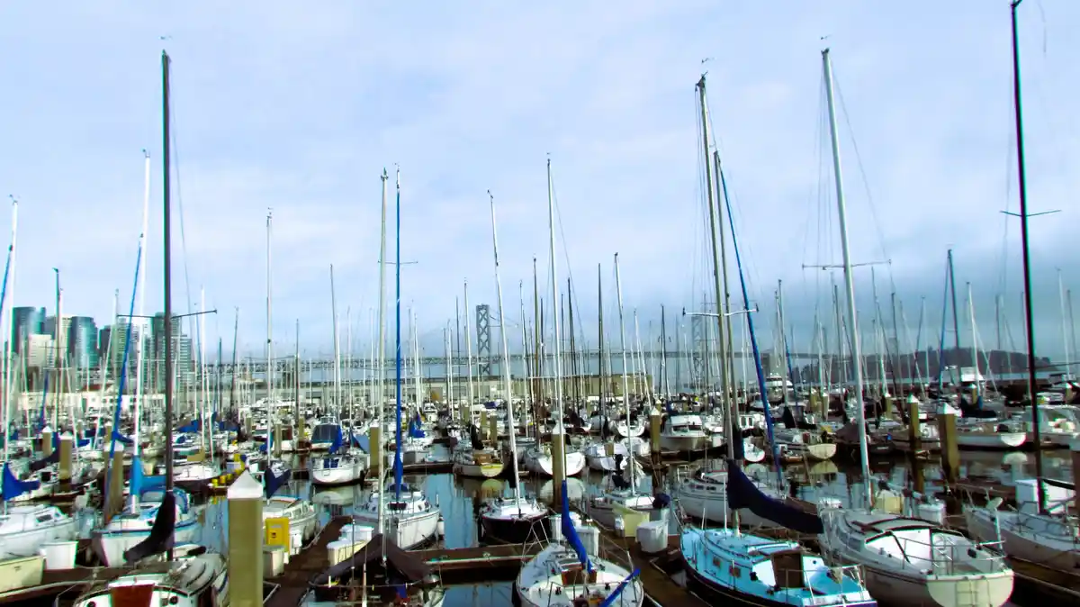 A wide shot of a crowded marina filled with sailboats and yachts, their masts reaching toward a cloudy sky, with a distant…