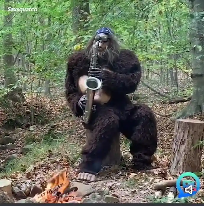 A person in a full-body brown furry costume resembling a Bigfoot or Sasquatch is sitting on a tree stump in a forest…