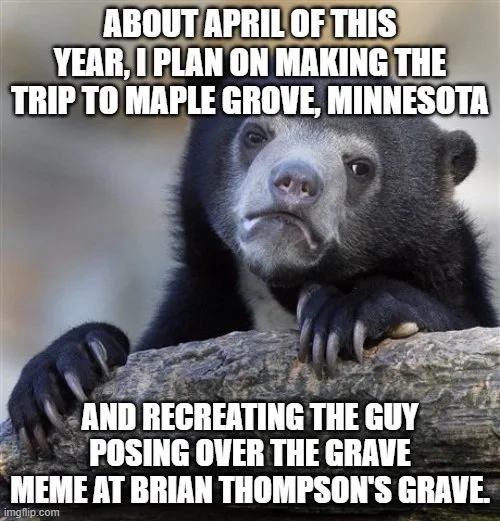 A black bear with a skeptical, unimpressed expression rests its paws on a log. White text overlaid in two blocks reads…