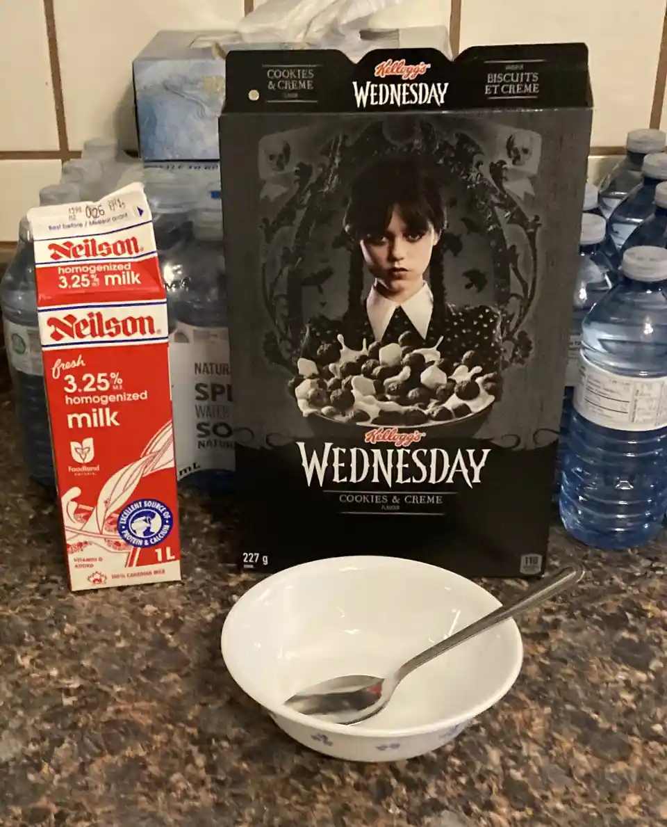 A Kellogg's Wednesday cereal box featuring the character from 'Wednesday' is displayed on a kitchen counter next to a carton…
