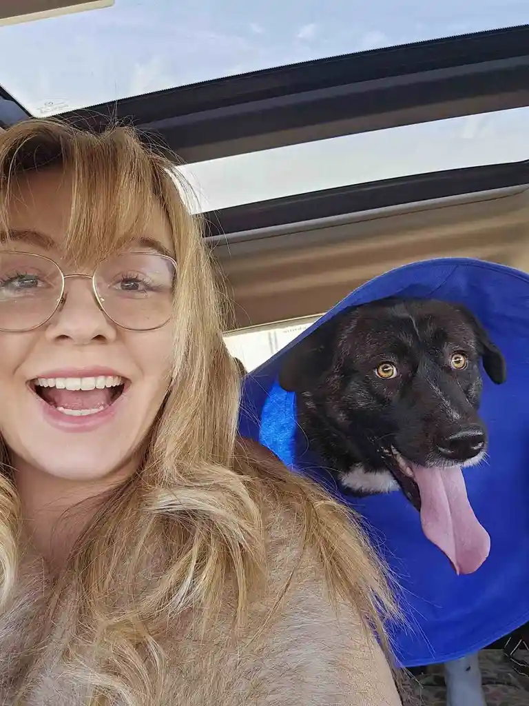 A selfie shows a smiling woman with glasses and long blonde hair inside a car, next to a black dog wearing a blue cone of…