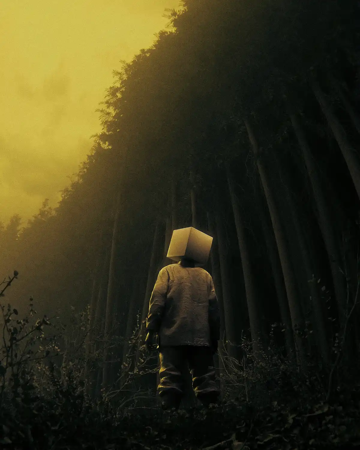 A person viewed from behind stands in a dark, misty forest with tall trees, wearing a plain, light-colored box on their…