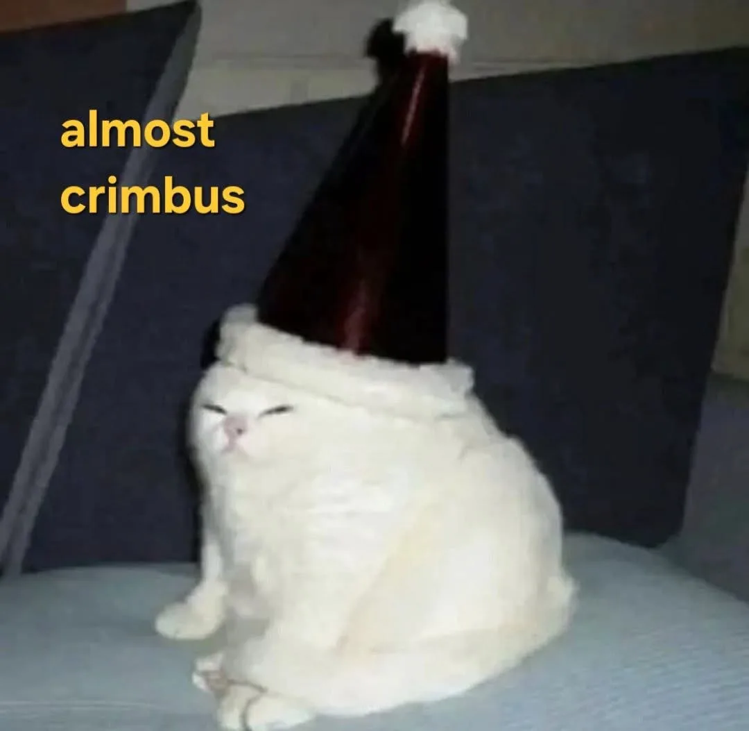 A fluffy white cat sits on a couch wearing a tall, dark red party hat with a white pom-pom, looking smugly content. Yellow…