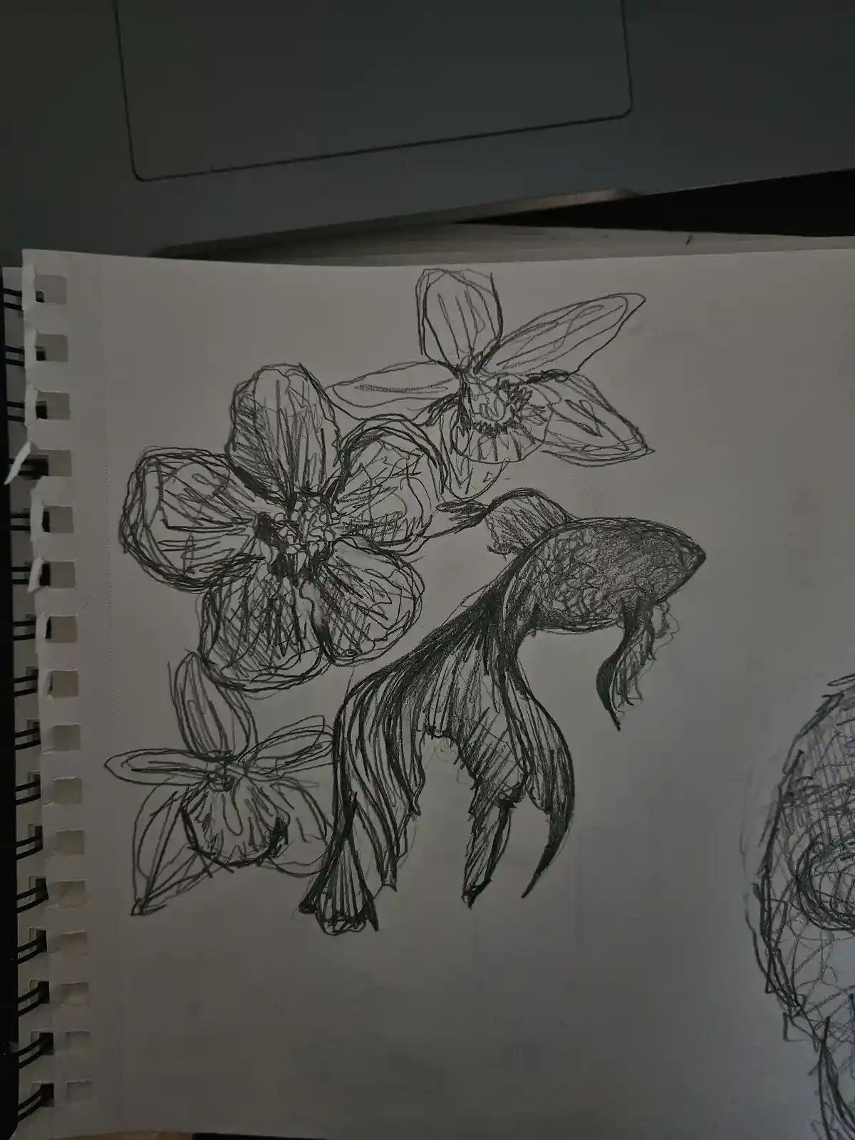 A Little Sketch That Speaks Volumes