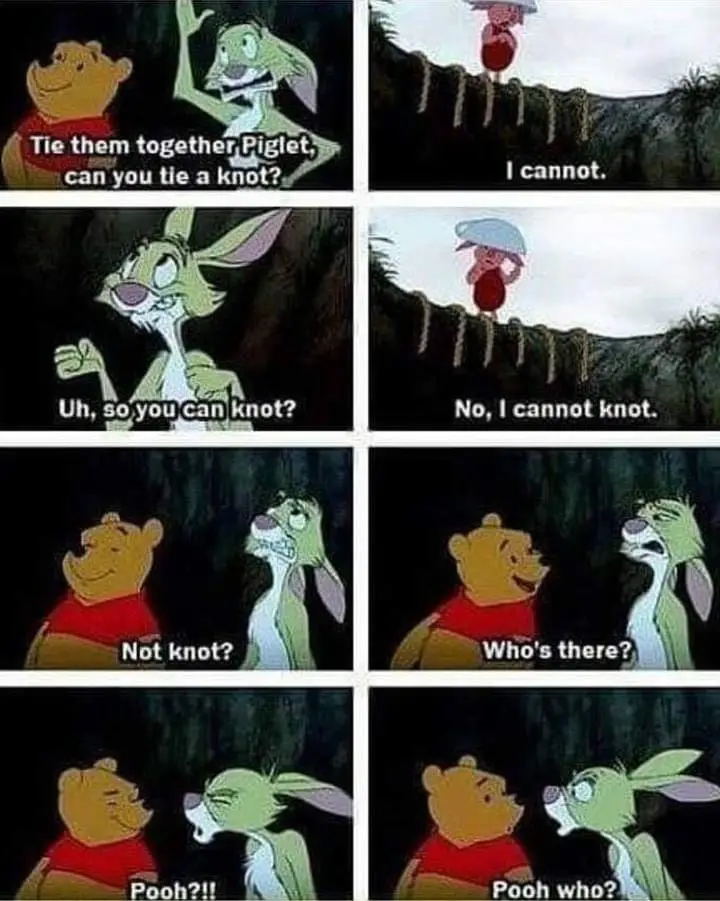 A Collection of Memes and Mischief