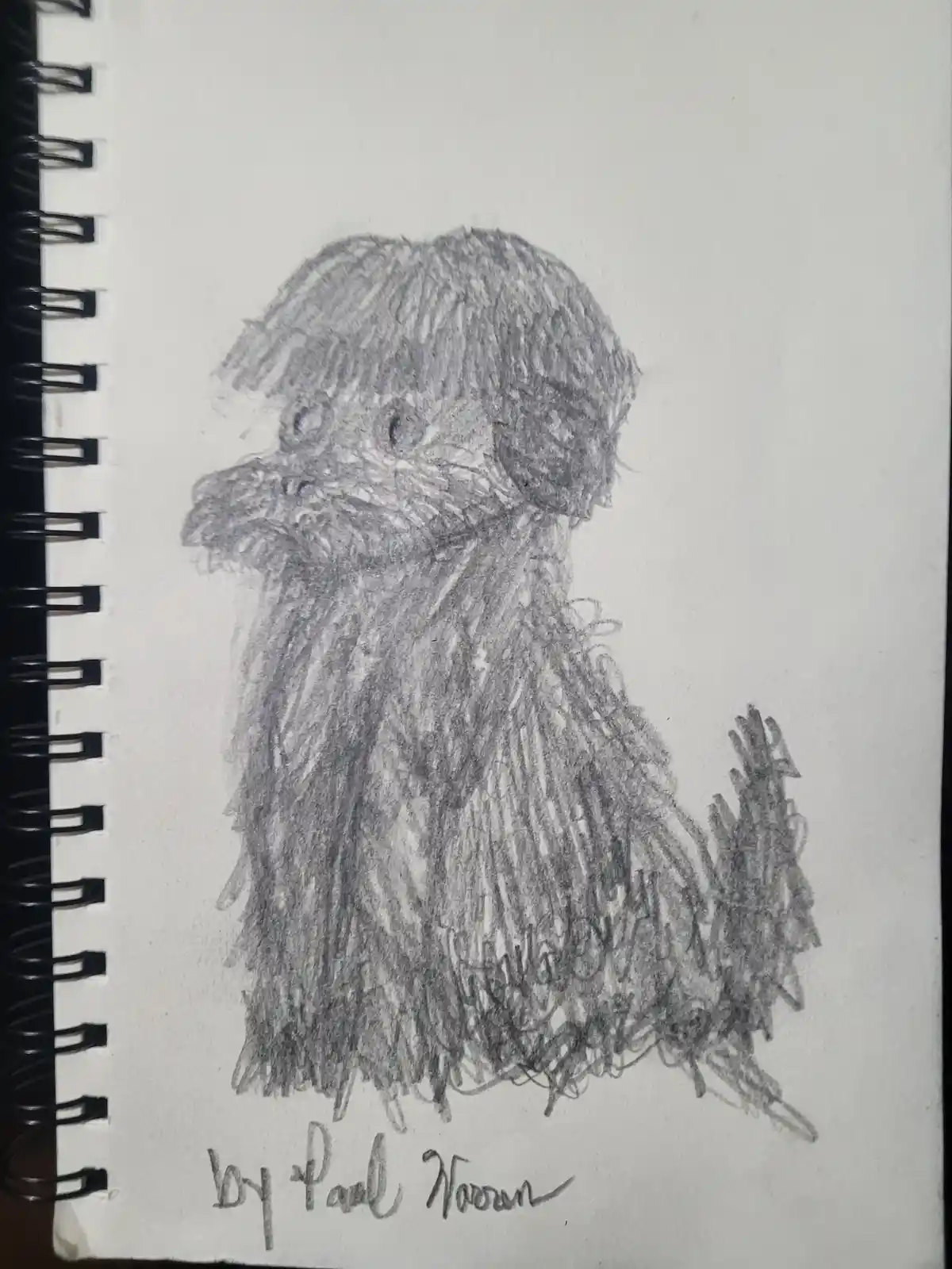 A pencil sketch of a shaggy dog in a spiral-bound notebook, with the handwritten text 'by Paul Noonan' at the bottom. The…