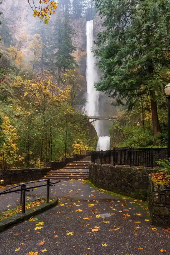A scenic autumn photo of Multnomah Falls in Oregon, showing a paved path with fallen yellow leaves leading up to the…