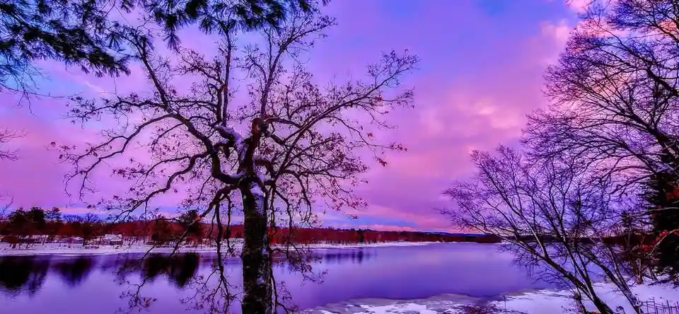 A serene winter landscape featuring a snow-dusted tree with bare branches in the foreground, reflecting in a calm lake under…