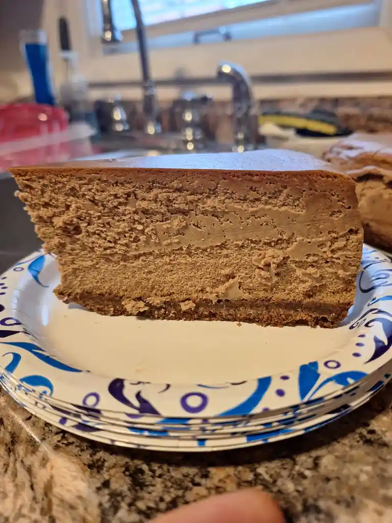 A close-up photo shows a thick slice of dense, brown, layered dessert on a blue and white patterned paper plate, sitting on…