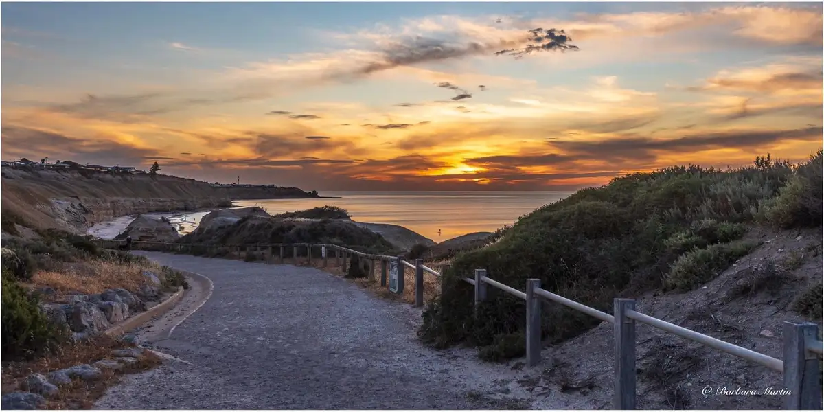 The Journey Ahead: Finding Your Path
