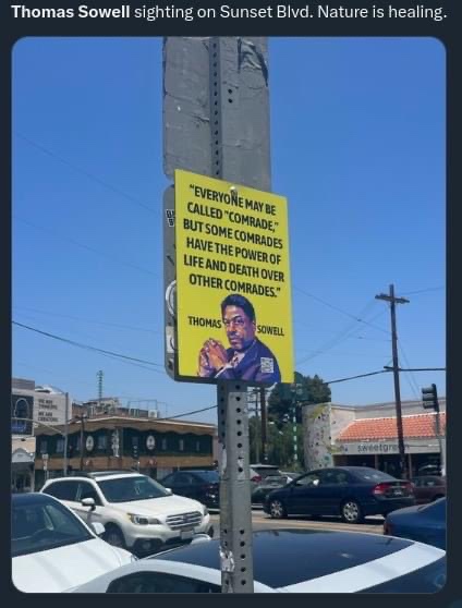 A yellow sign attached to a metal pole in a street scene displays a quote attributed to Thomas Sowell: "Everyone may be…