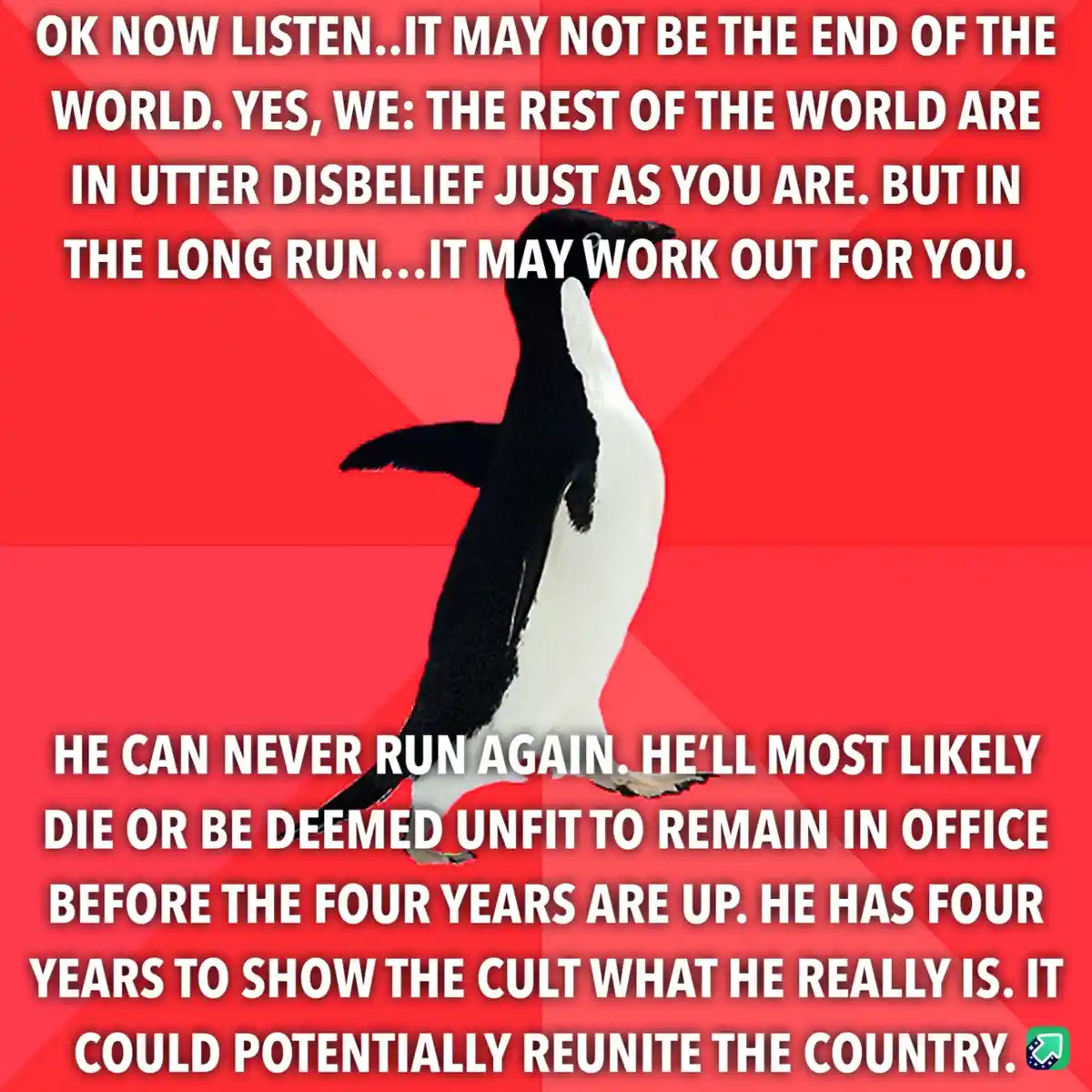 A black-and-white penguin stands against a red background with white text overlaid in two sections. The top text reads 'OK…