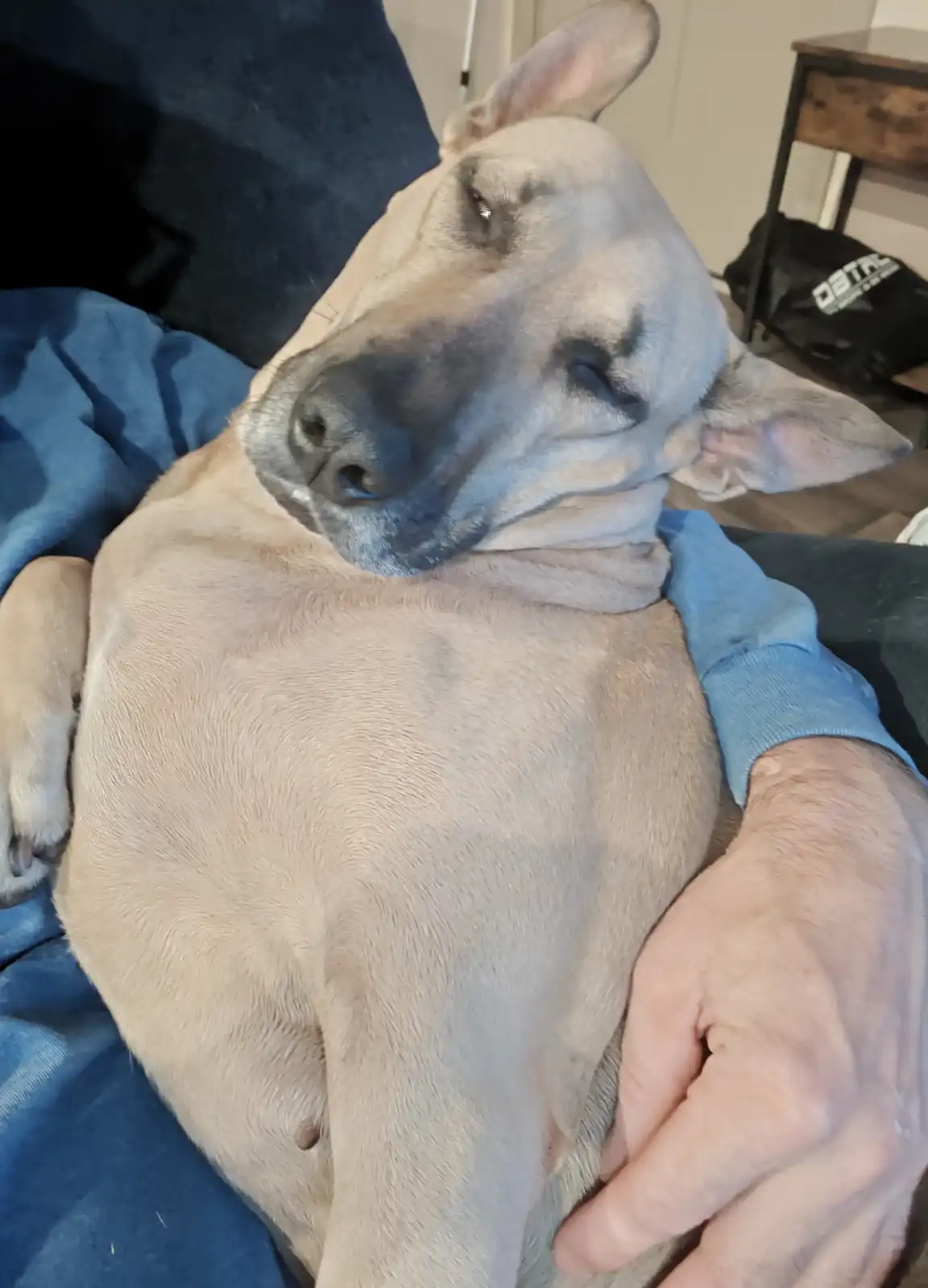 Maggie's Struggle to Stay Awake