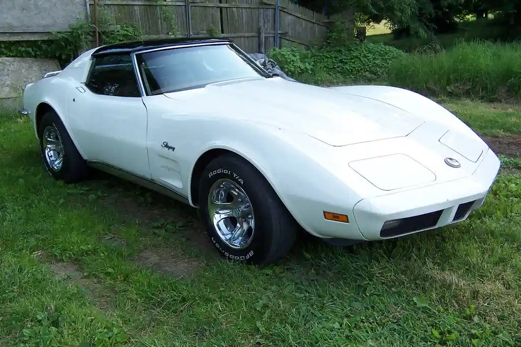 A white classic Chevrolet Corvette Stingray is parked on grass, not on pavement, with a wooden fence and overgrown…