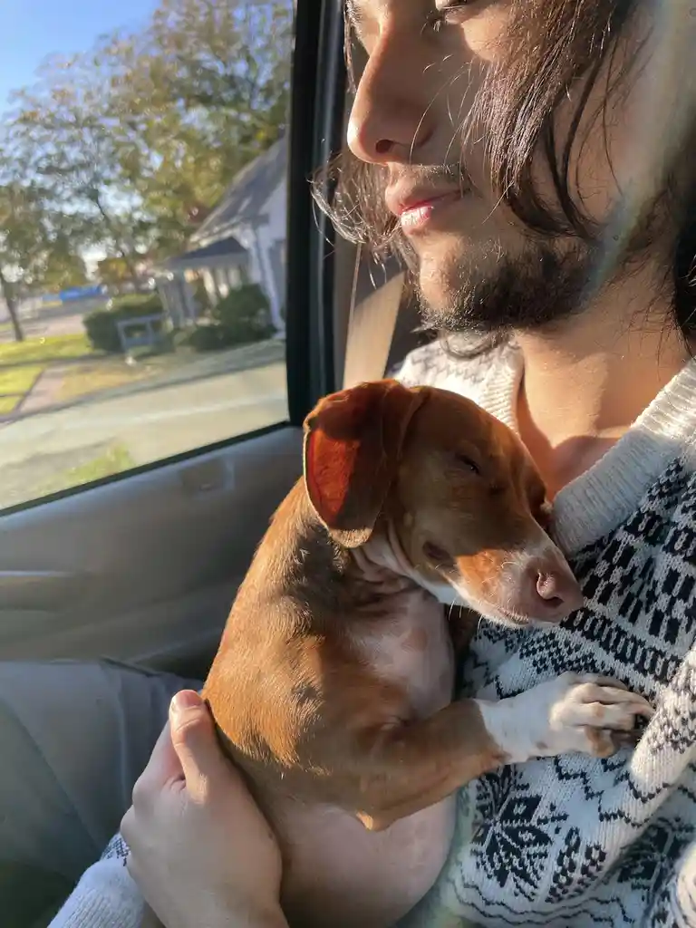 A person with long dark hair and a beard is sitting in a car, holding a small brown dog that is sleeping peacefully in their…