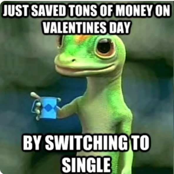 Living the single life and loving it