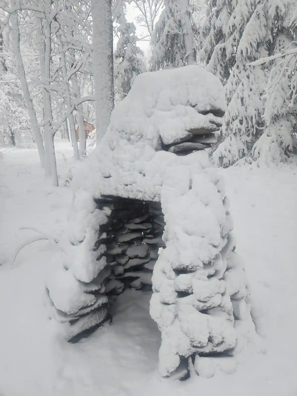 A stone cairn or shelter in a snowy forest is completely covered in thick snow, making it look like a snow monster with a…