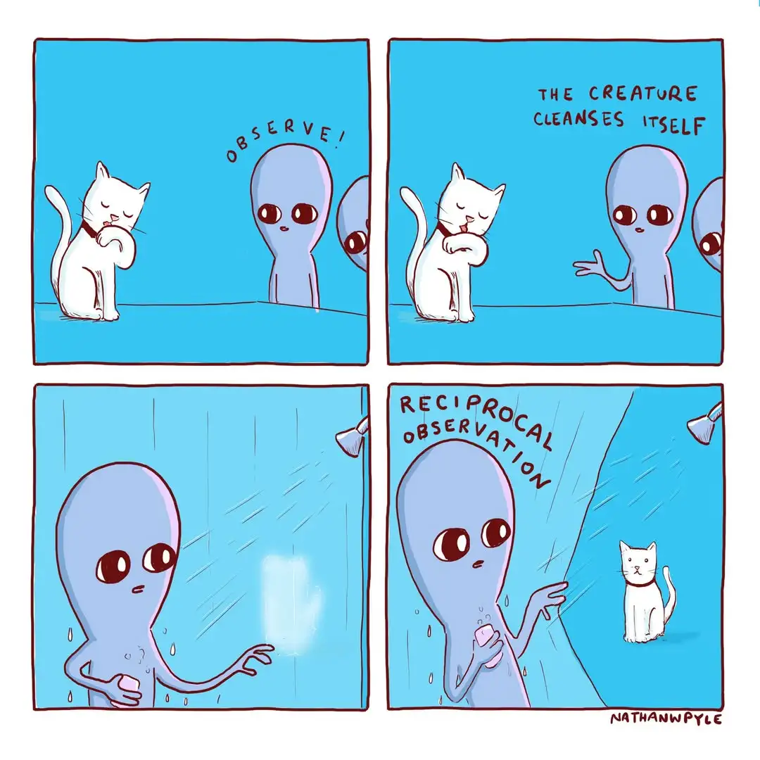 A four-panel comic shows a white cat grooming itself while blue aliens observe. The aliens comment 'observe!' and 'the…