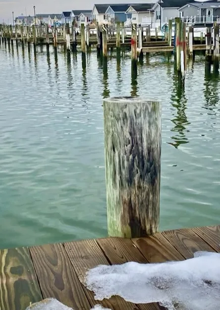 A weathered wooden dock post stands in calm greenish water, with snow patches visible on the wooden dock in the foreground…
