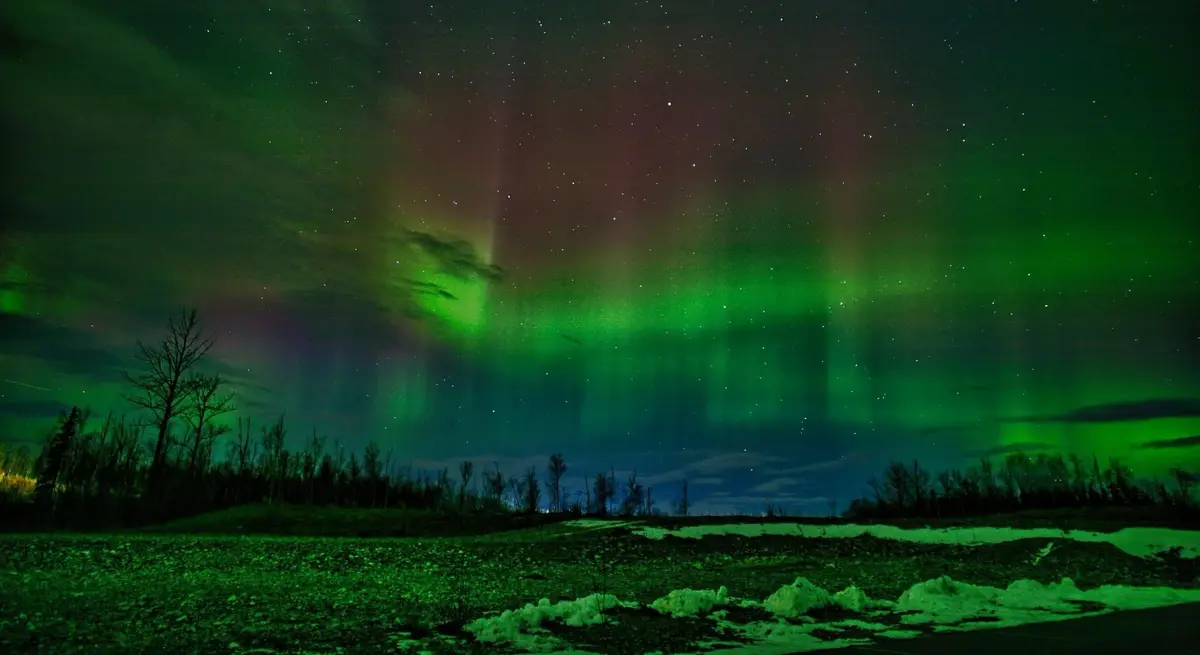 A stunning photograph of the aurora borealis, with vibrant green and purple lights dancing across a starry night sky above a…