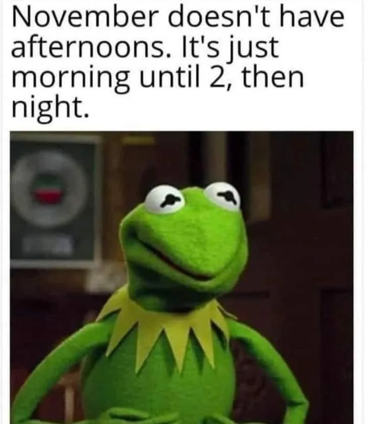 A green frog puppet, Kermit the Frog, stands with his hands on his hips and a smug, knowing smile. Above him, black text on…