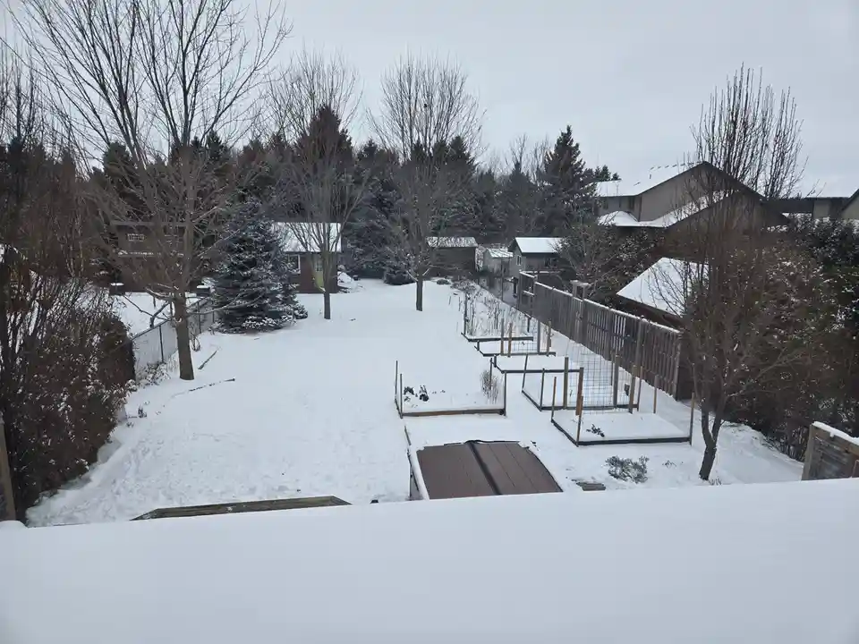 A snowy backyard garden with raised beds and fences, all blanketed in snow, with bare trees and houses in the background…