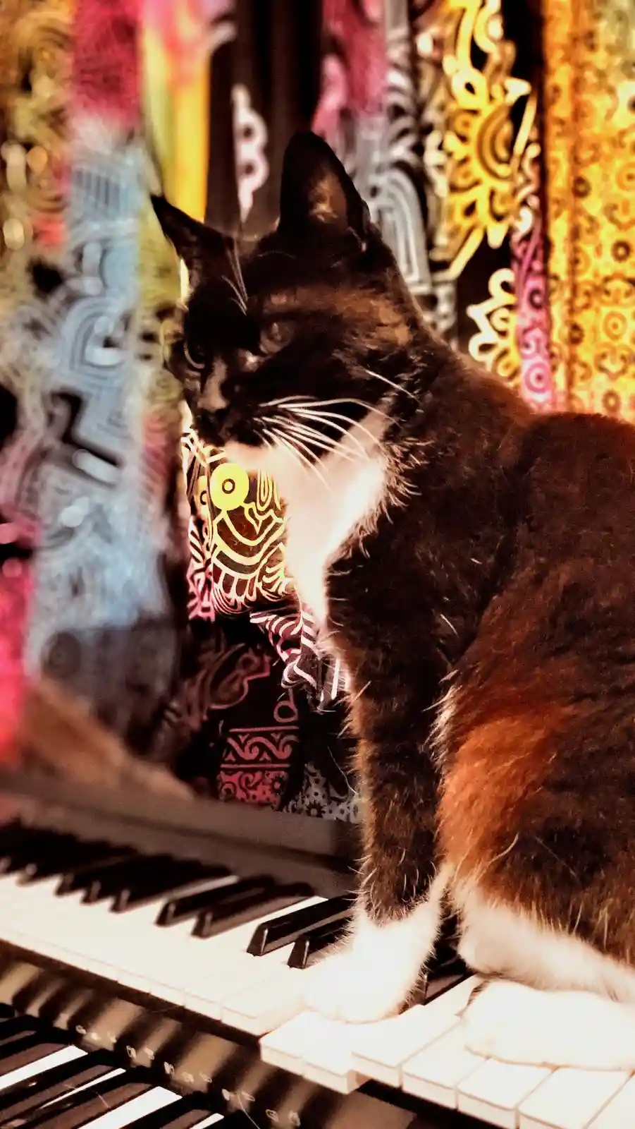 Marley is on the brink of adulthood at 18 years old!