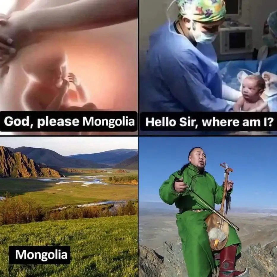 A four-panel meme: top-left shows a fetus in utero with text 'God, please Mongolia'; top-right shows a newborn in a hospital…