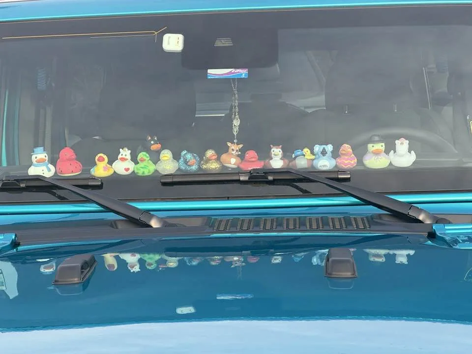 He's Got His Ducks in a Row: Master of Organization!