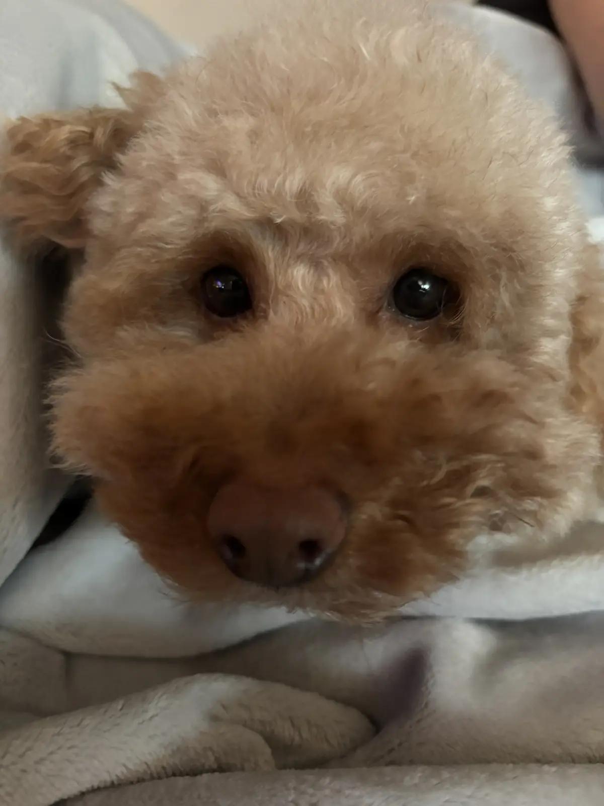 Hello there!