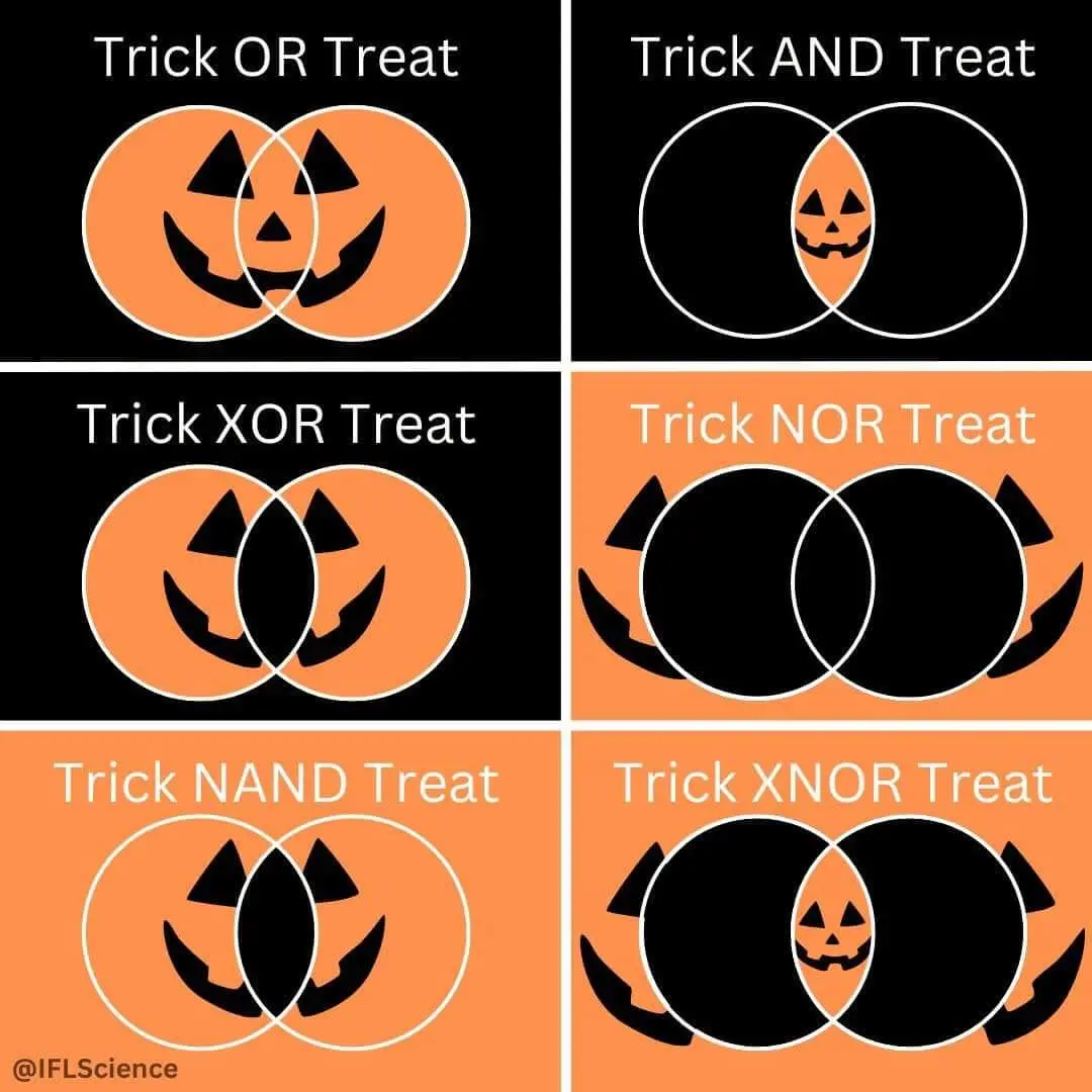 Boo-lieve It or Not!