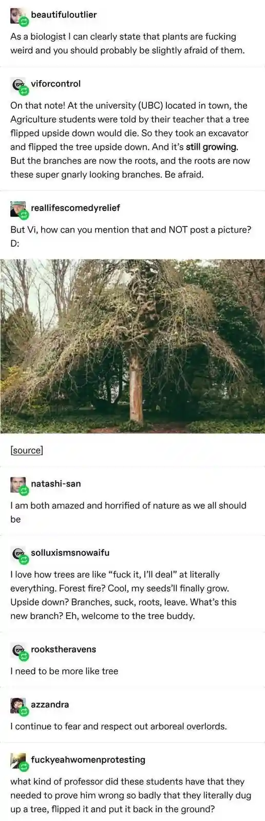 A screenshot of a Reddit thread where users discuss a tree that was flipped upside down by students and is still growing…